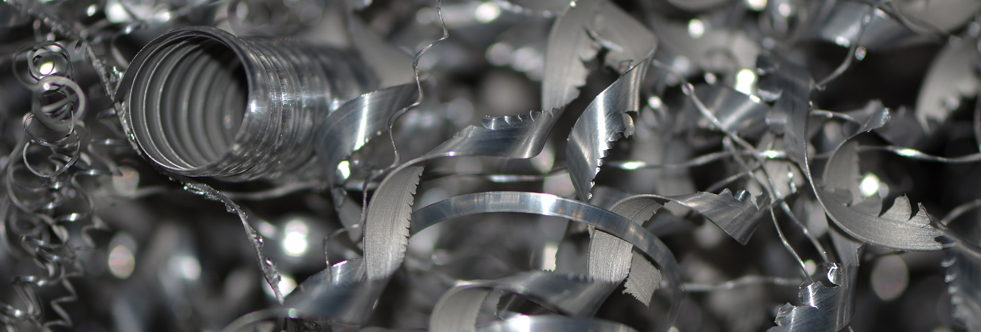 Pandolfi rottami pollenza